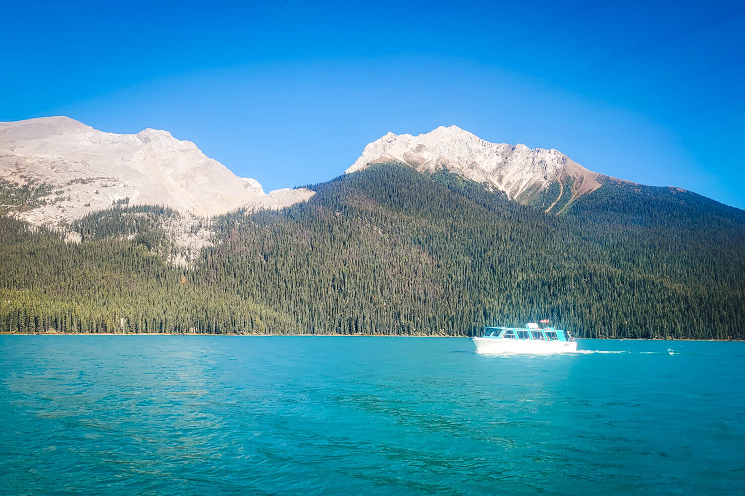 Maligne Lake Adventures: Boat Tours, Hikes, & Wildlife Tips